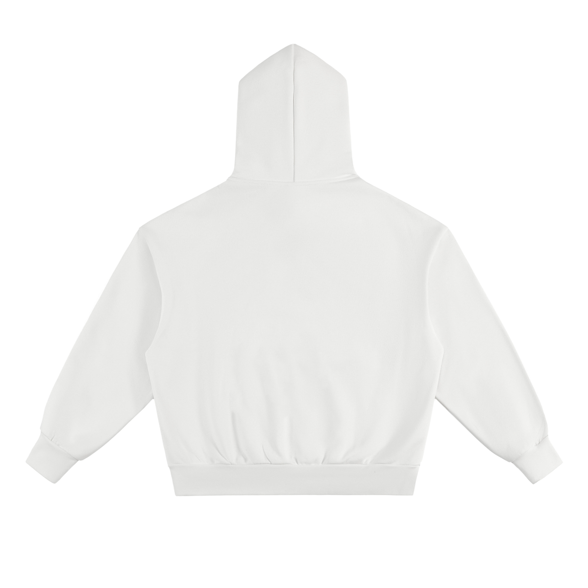 ih v2 Hoodie